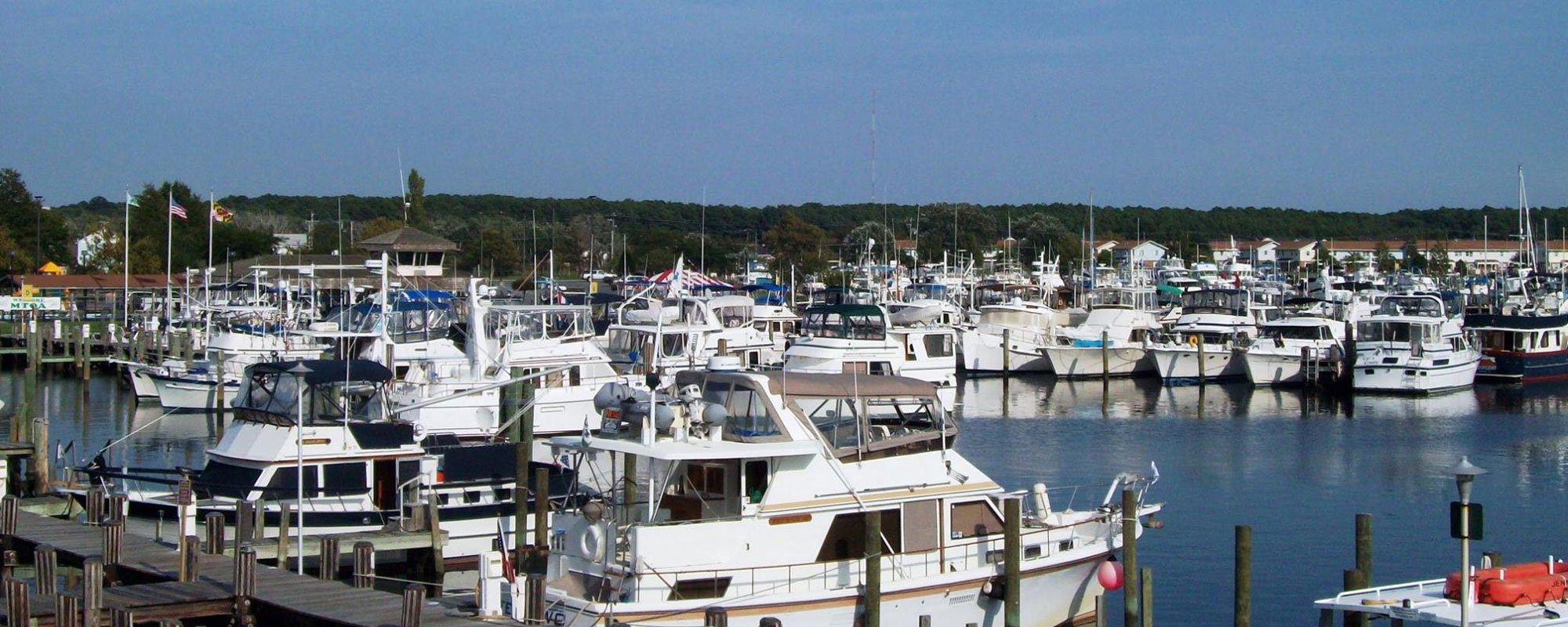 Somers Cove Marina Boats